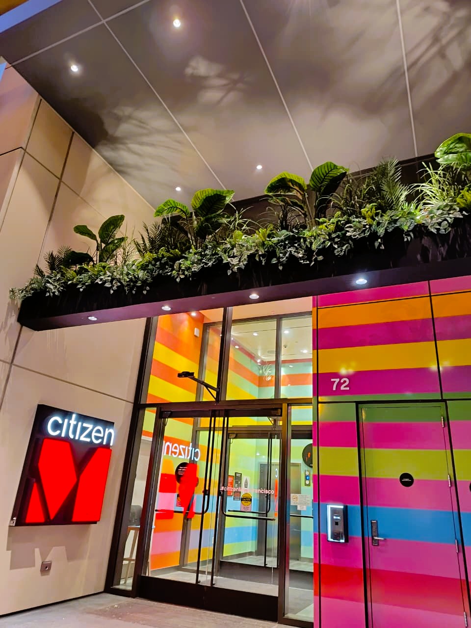 Picnic on the grass at Alamo Square Park