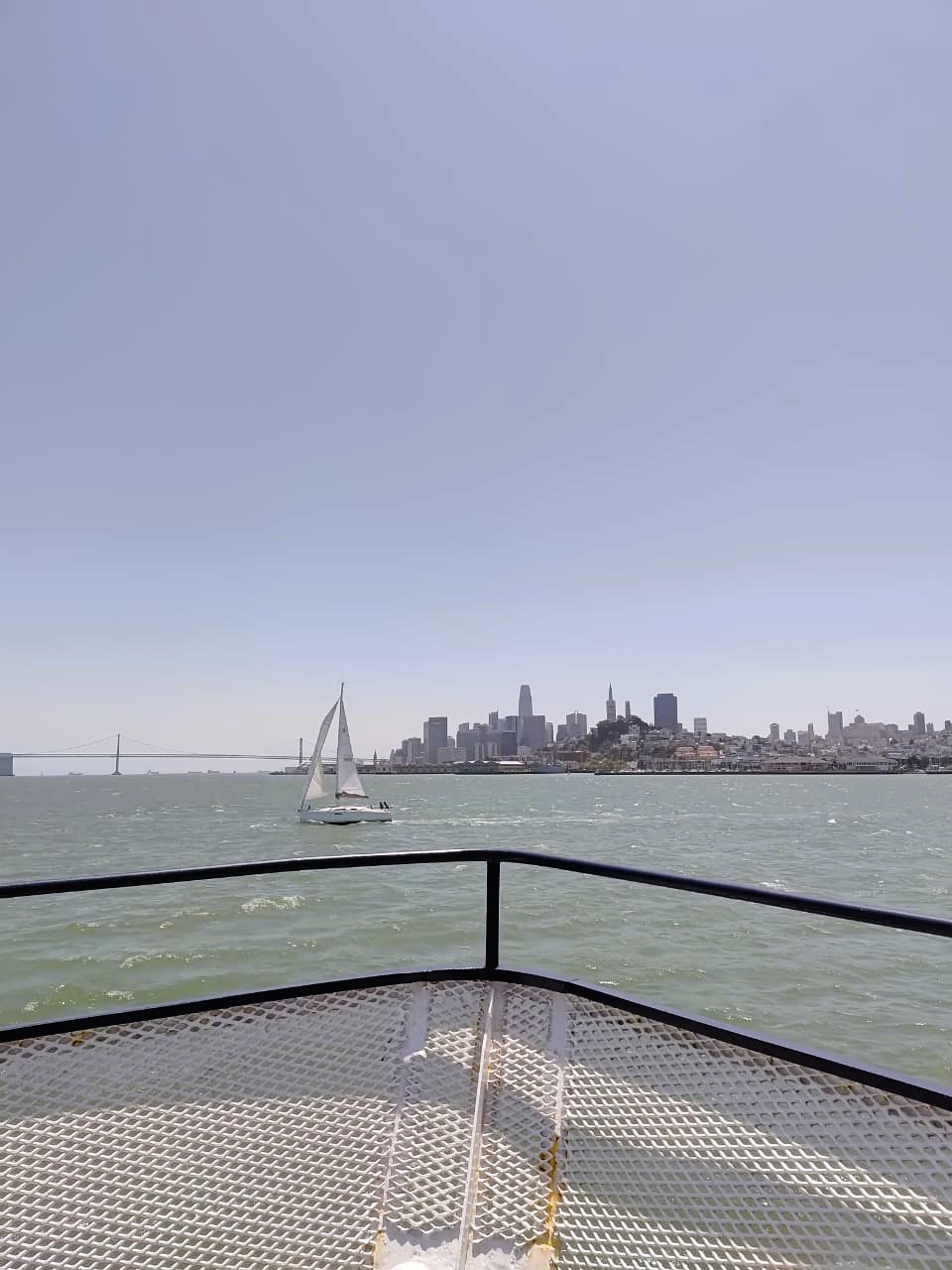 Picnic on the grass at Alamo Square Park