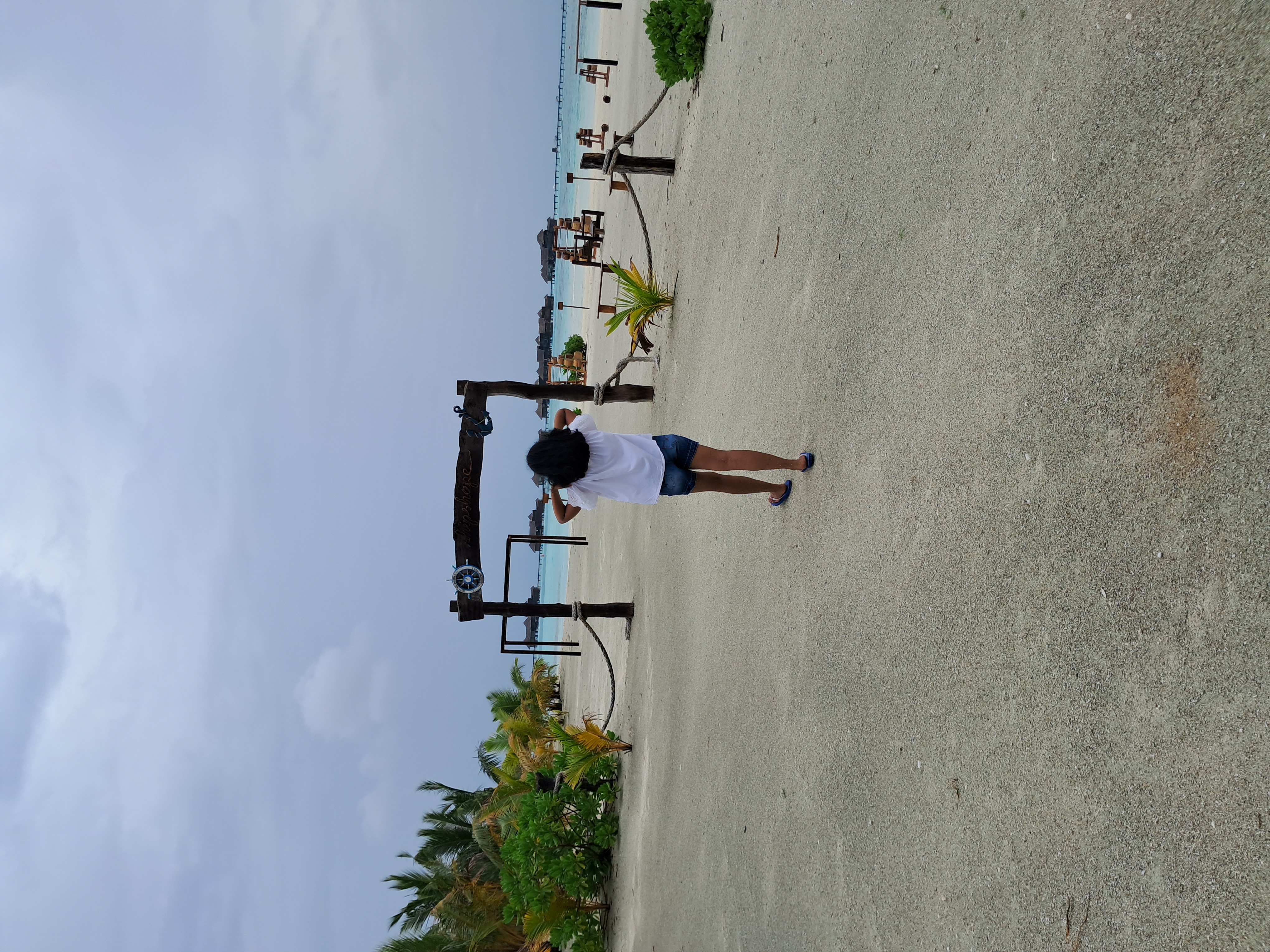 Seagull standing on a wooden railing near the beach